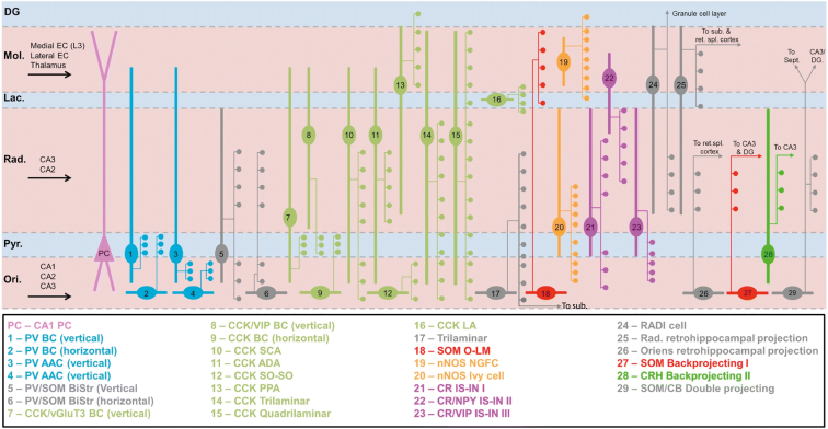 Figure 1