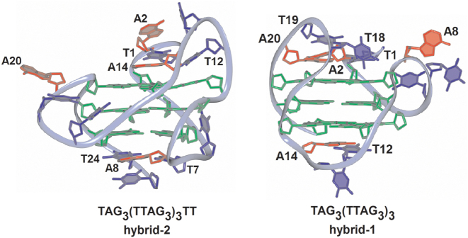 Figure 6.