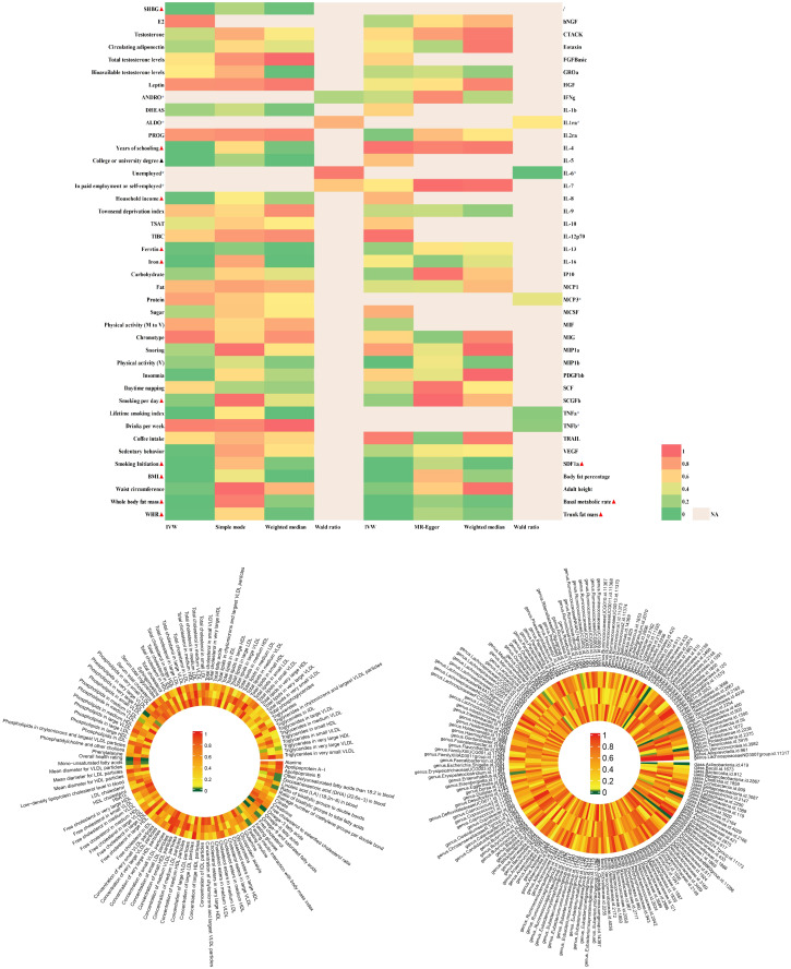 Figure 2