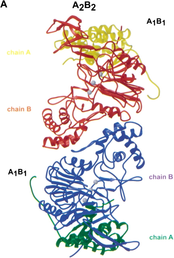 Fig. 1.