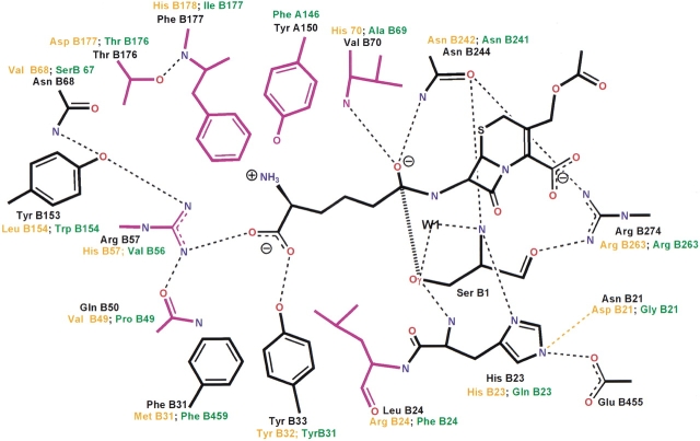 Fig. 7.