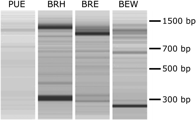 Figure 1.