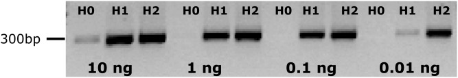 Figure 2.