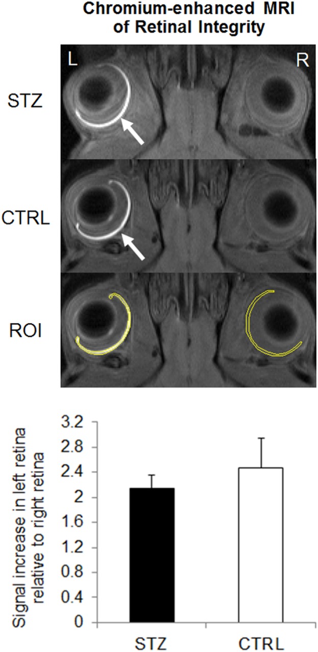 Fig 5