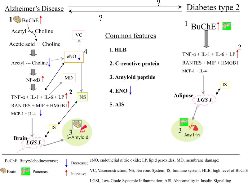 Fig. (1)