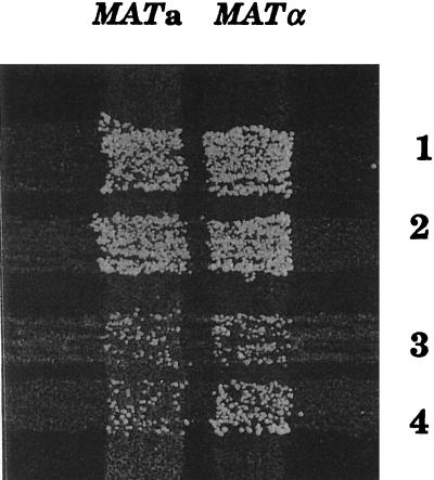 FIG. 6