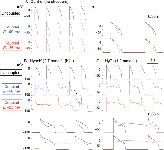 Figure 2