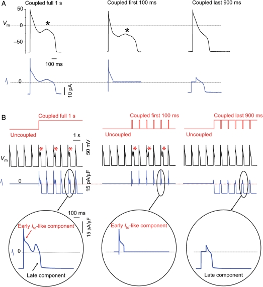 Figure 6