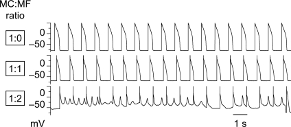 Figure 4