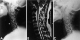Fig. 1.