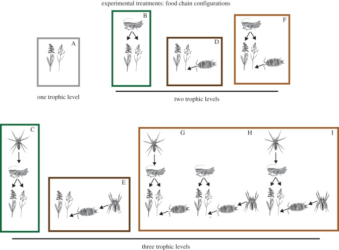 Figure 1.