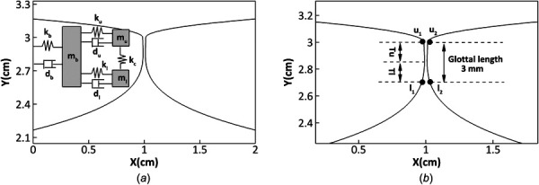 (a) Schematic of the three-mass vocal fold model, ki and di are the spring coefficients and damping constants for different masses, mi. (b) Zoom-in view of the glottis. u1, and u2 represent the two top points on the left and right vocal folds, respectively, while l1 and l2 represent the two corresponding points on the bottom. Tu and Tl represent the thickness of the upper and lower mass, respectively.