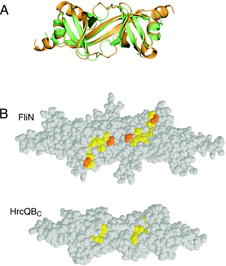 FIG. 10.