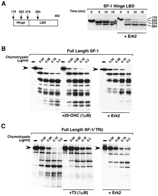 FIG. 5.