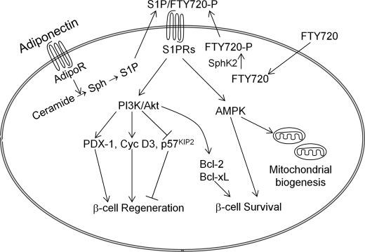 FIGURE 11.