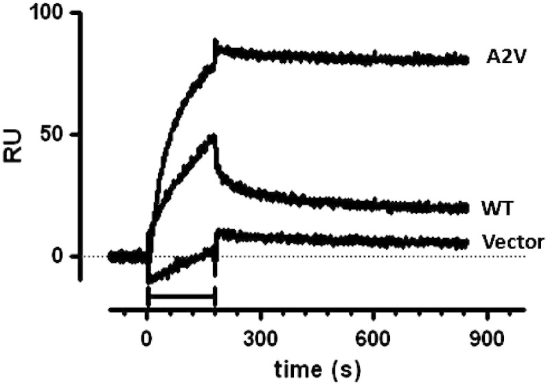 Fig. 8