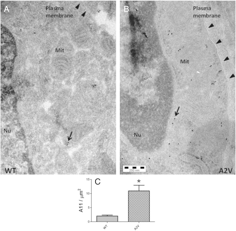 Fig. 7