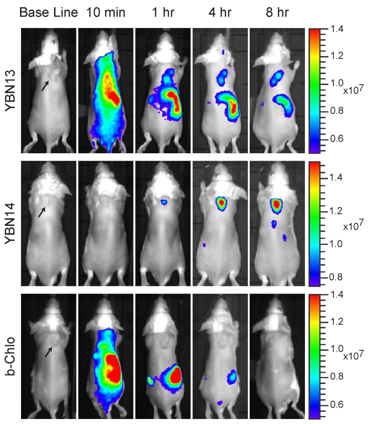 Figure 4