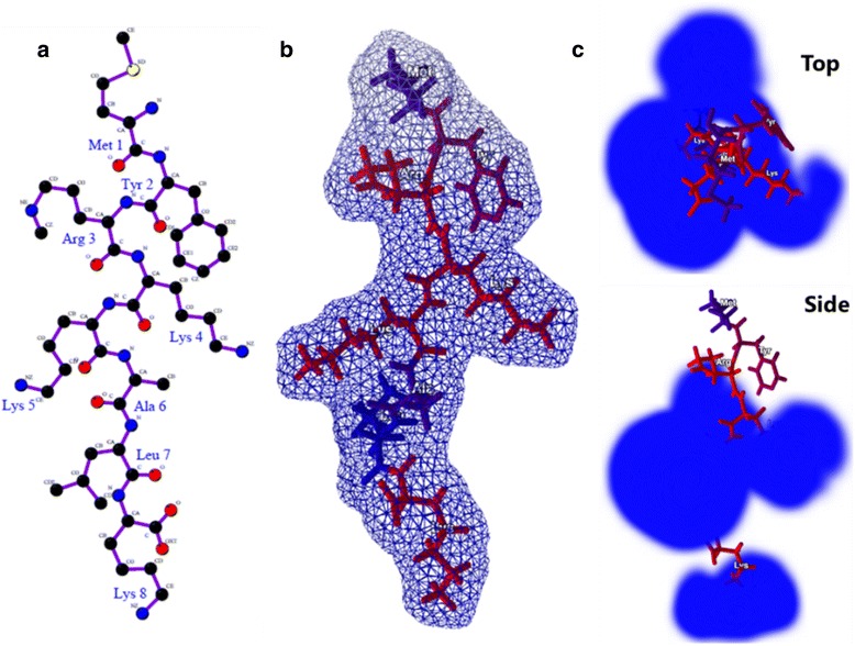 Fig. 1