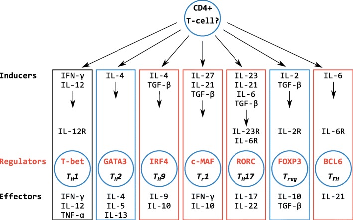 Fig. 10