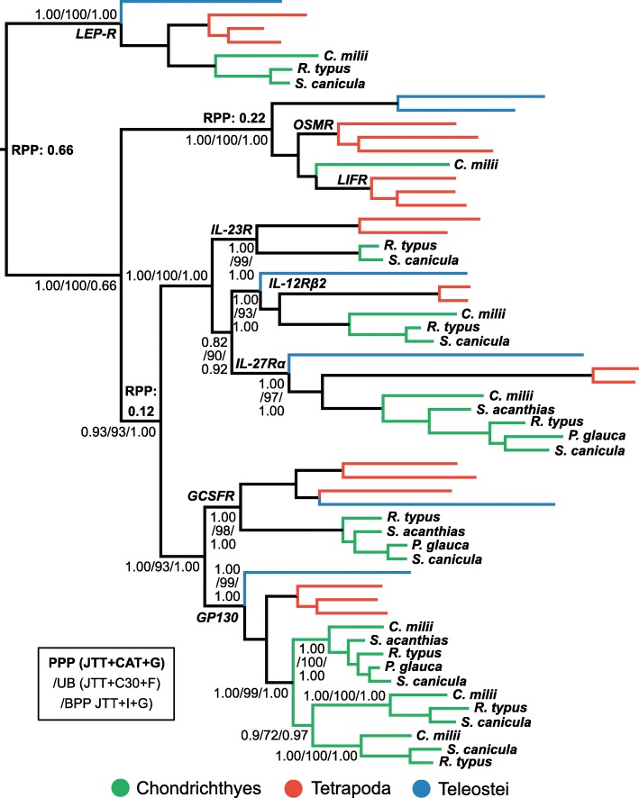 Fig. 7