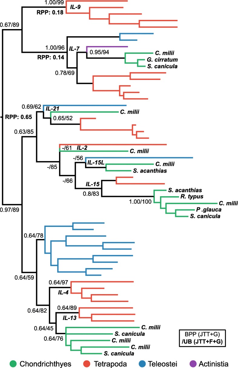 Fig. 3