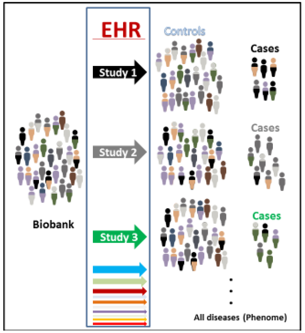 Figure 2: