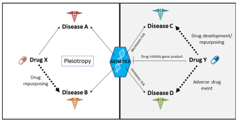 Figure 3: