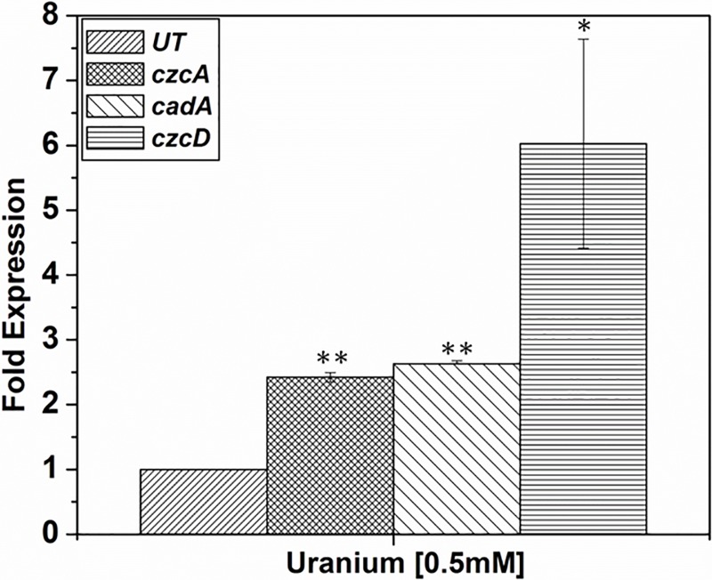 Fig 4