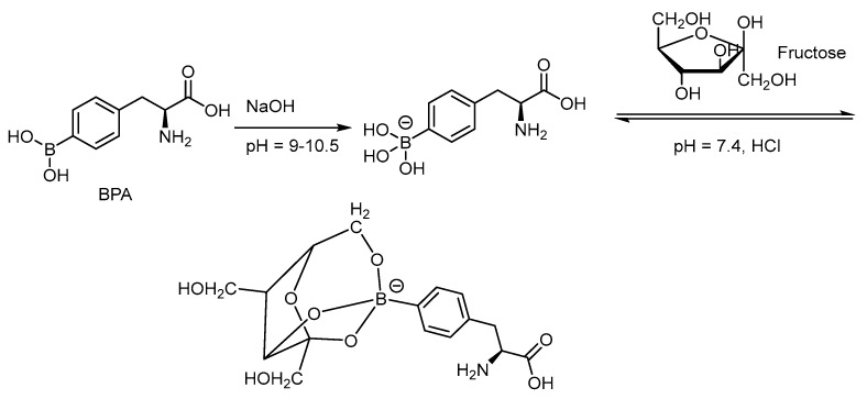 Scheme 4