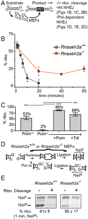 Fig. 1: