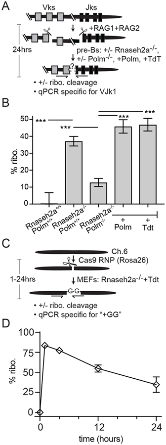 Fig. 2: