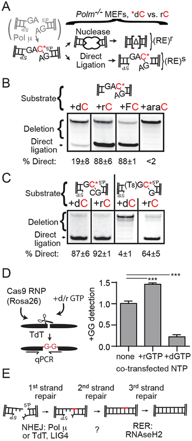 Fig. 3: