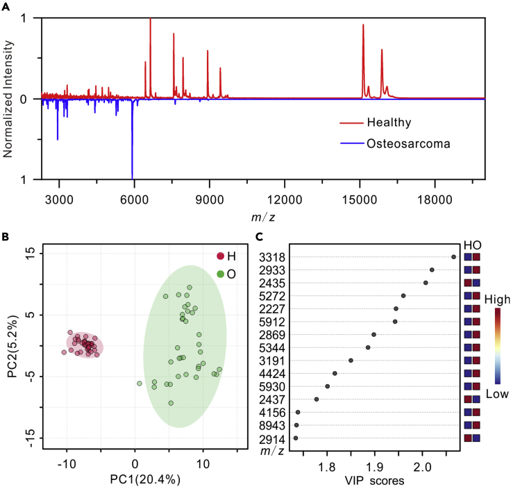 Figure 3