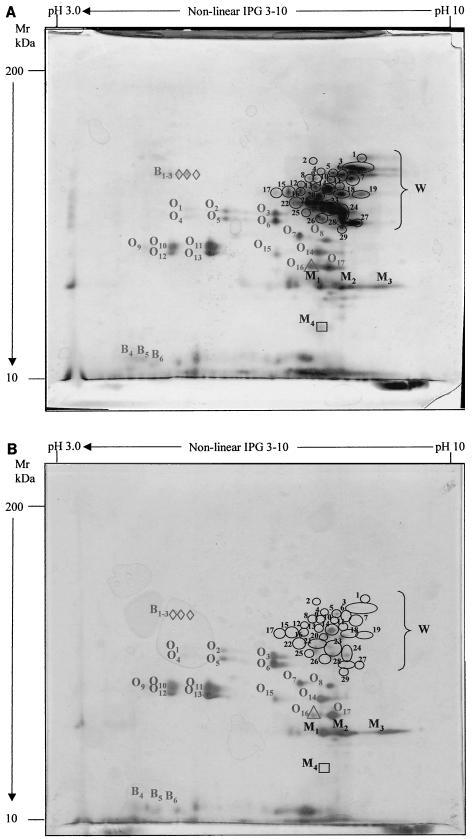 FIG.2.