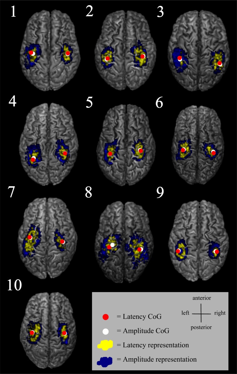 Fig. (5)