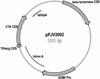 FIG. 1.