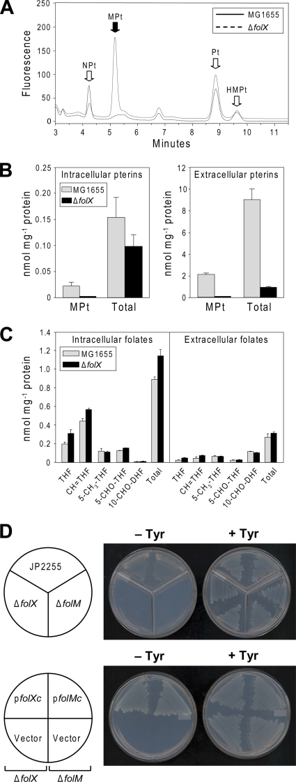 FIG. 3.