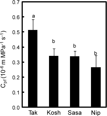 Fig. 9.