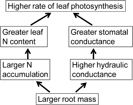 Fig. 10.