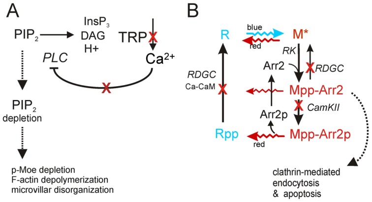 Fig. 9.