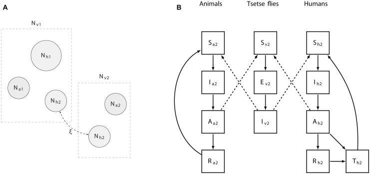 Fig 1