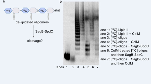 Extended Data Fig. 5