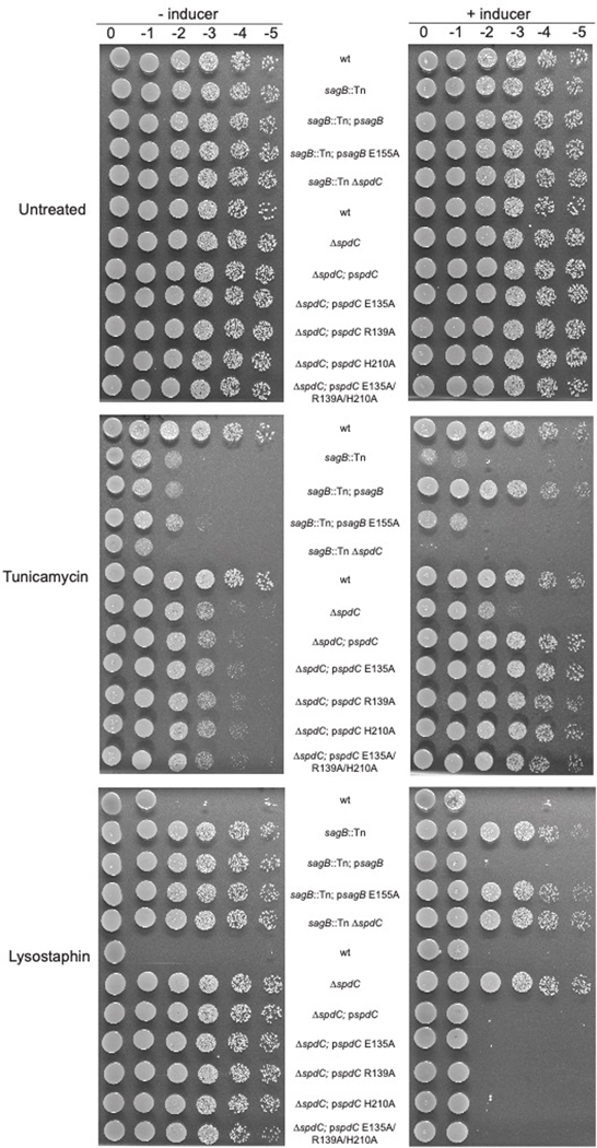 Extended Data Fig. 3