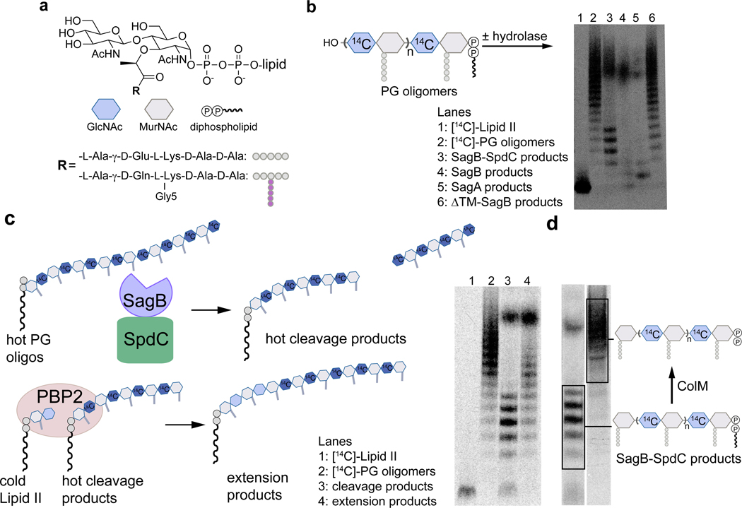 Figure 2.