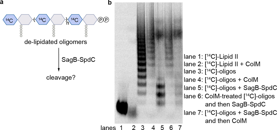 Extended Data Fig. 10