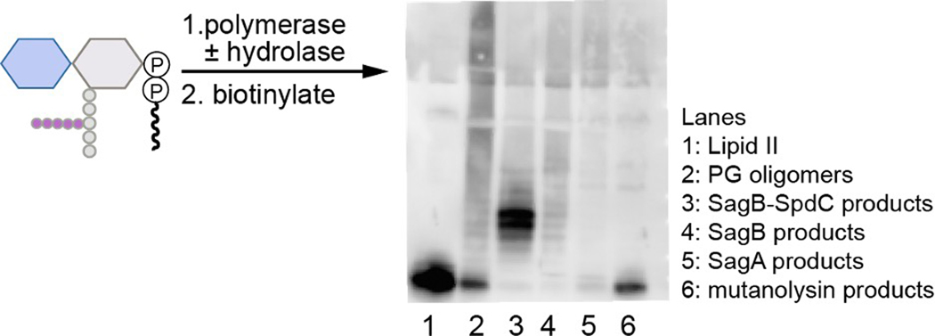 Extended Data Fig. 2