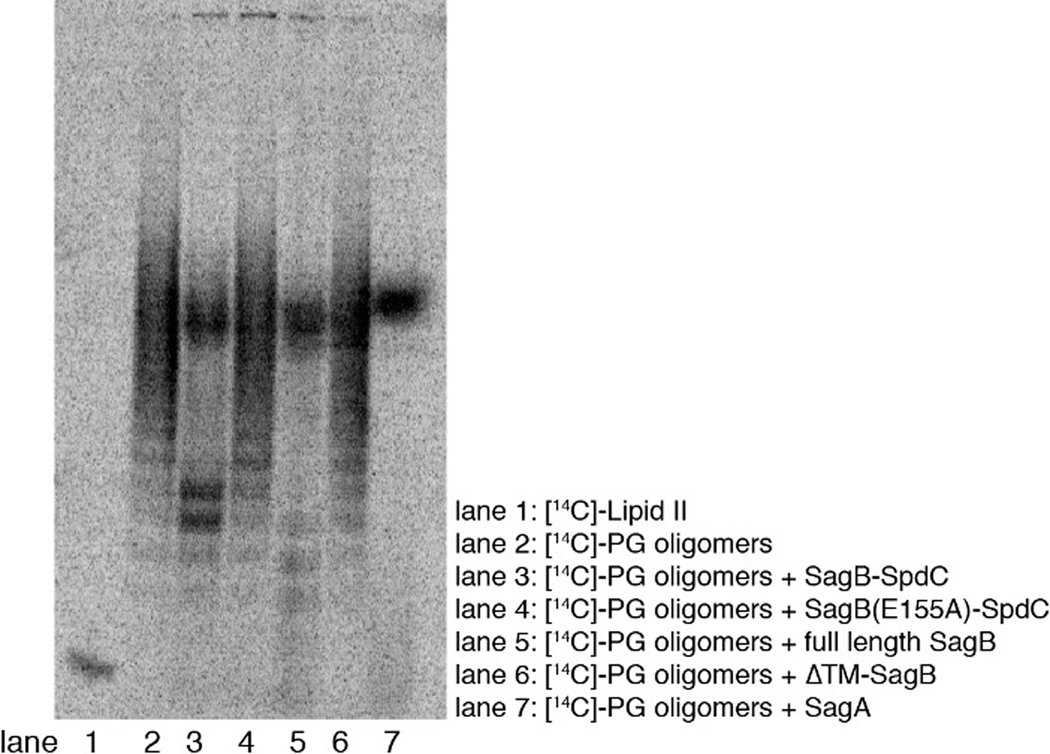 Extended Data Fig. 1