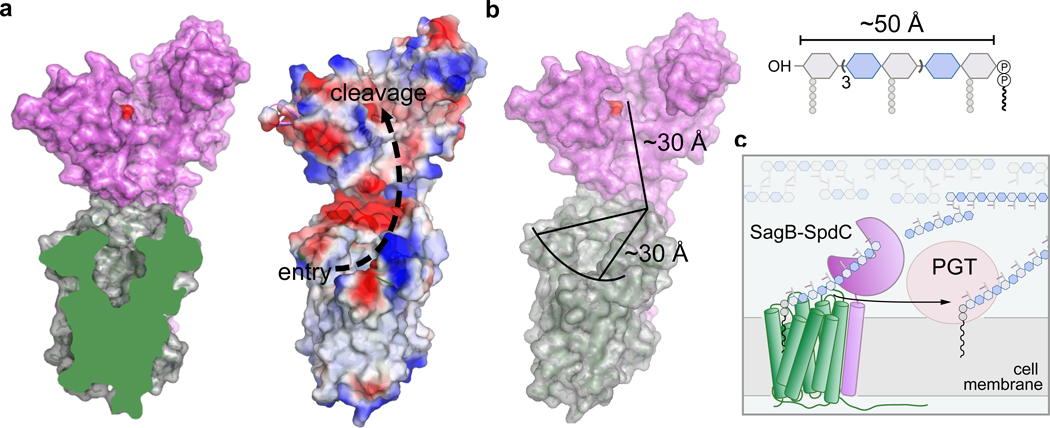 Figure 4.