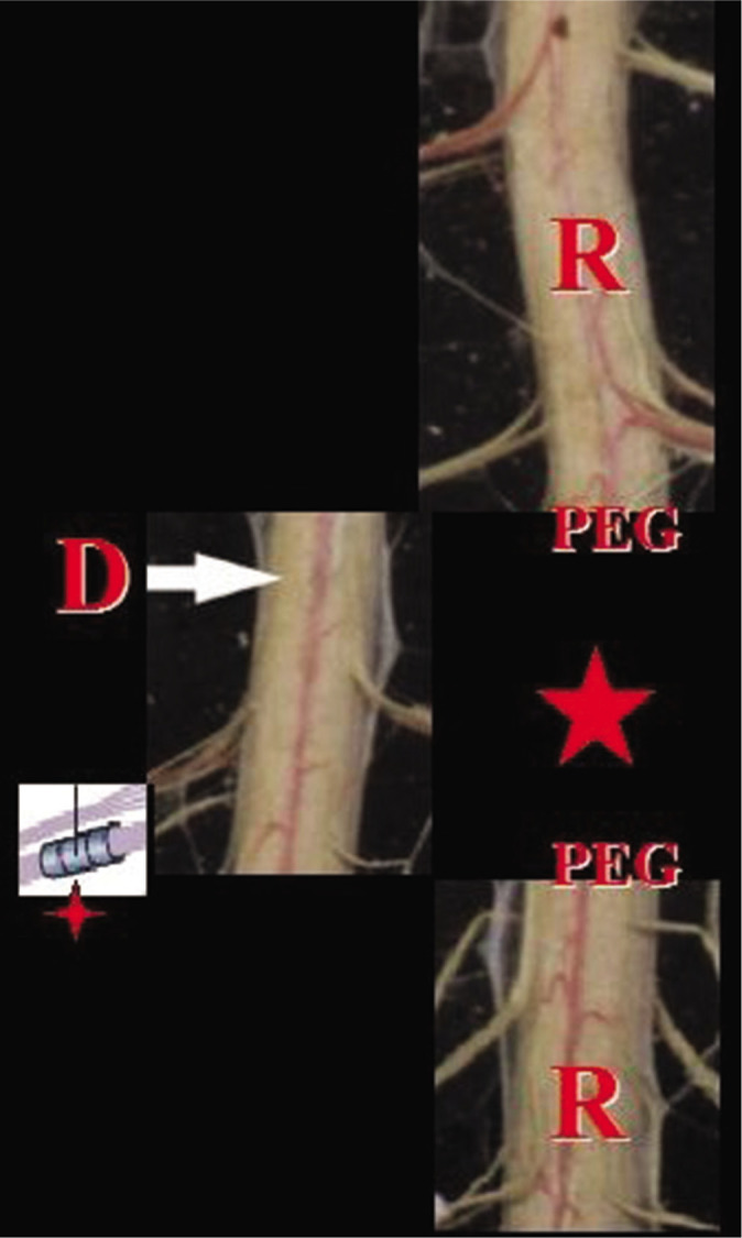 Figure 1: